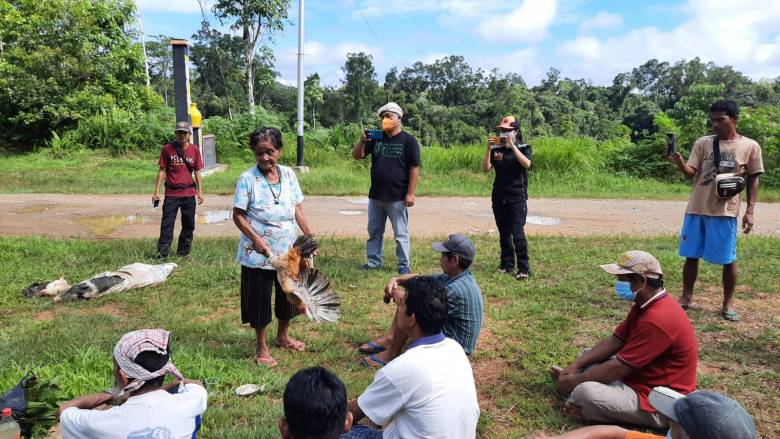 Upacara Adat Tolak Bala, Kearifan Lokal Suku Dayak Jawatn Menangkal Pandemi